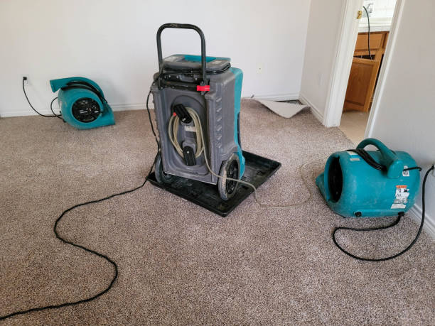 Best Commercial water damage restoration  in Headland, AL