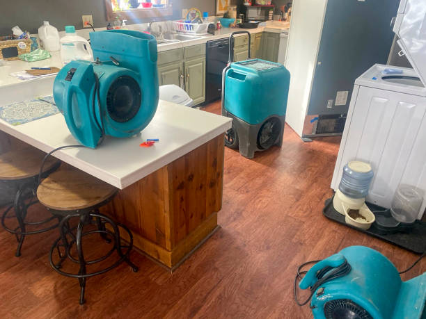 Best Mold removal after water damage  in Headland, AL