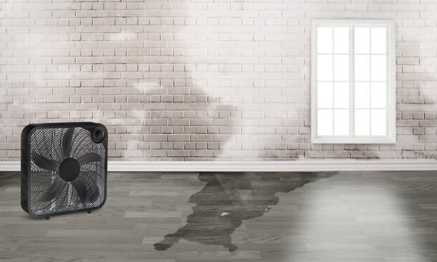 Professional Water damage restoration in Headland, AL
