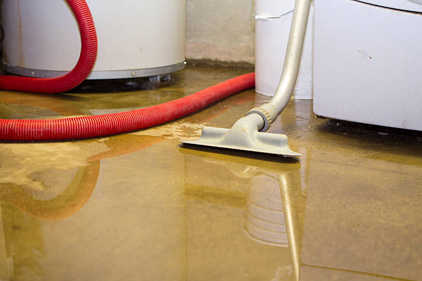 Best Sewage cleanup and water damage restoration  in Headland, AL