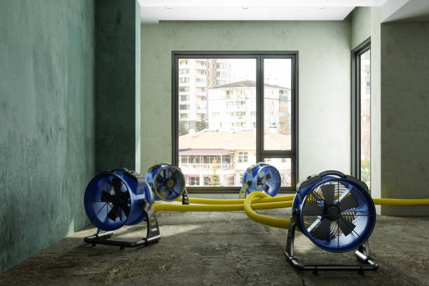 Best Professional water damage repair  in Headland, AL