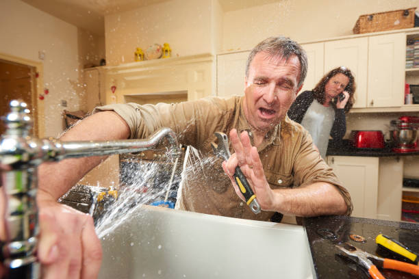 Best Ceiling water damage repair  in Headland, AL